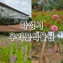 [화성] 아이랑 화성시 우리꽃식물원 방문 후기/운영시간, 요금, 주차 안내