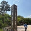 서울 선릉과 정릉 성종왕릉 선릉 산책 주차요금 및 임산부 입장료 무료