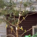 [울산 6개월 아기랑 가볼만한 곳]울산대공원 동물원 생태계체험관 주차 요금