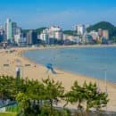 송정해수욕장 2026 개장기간·주차요금 해운대 대신 가야 하는 이유