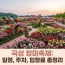 2026 곡성세계장미축제 총정리 — 날짜·요금·주차 꿀팁까지
