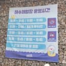 [공지] 🏊‍♀️배곧 한울공원 해수체험장(주차, 요금, 운영시간)
