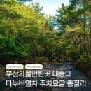 부산가볼만한곳 부산 태종대 유원지 다누비열차 이용요금 주차요금 영도등대 볼거리 총정리