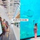 김포공항 주차장 요금 국내선 제2주차장 예약 주차비 할인 팁