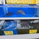 대구 북구 매천수산시장 회 포장 / 영업시간 가격 금액 주차요금