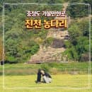 진천 가볼만한곳 농다리 초평호 출렁다리 주차요금 입장료 폭포 시간
